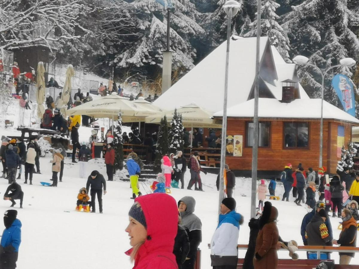 Challet Montan Poiana Brasov Eksteriør billede