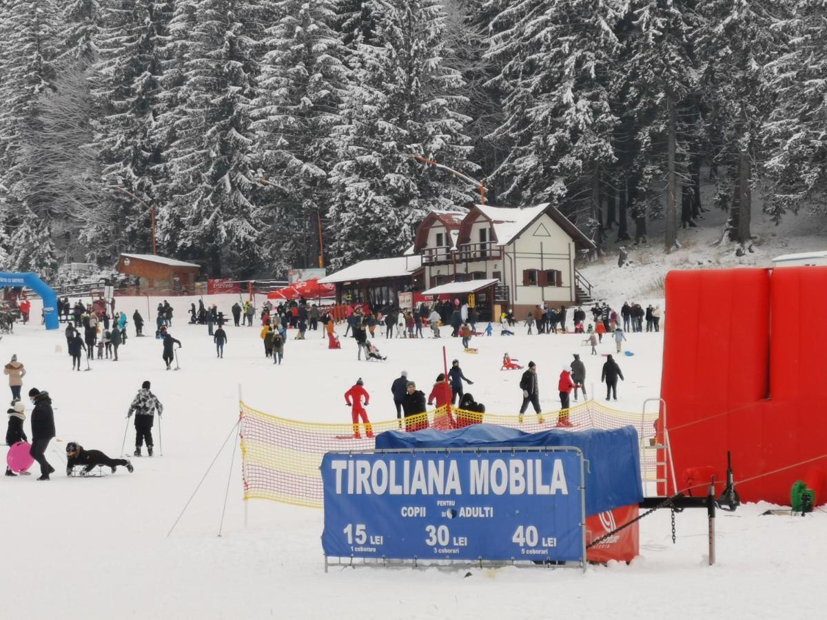 Challet Montan Poiana Brasov Eksteriør billede