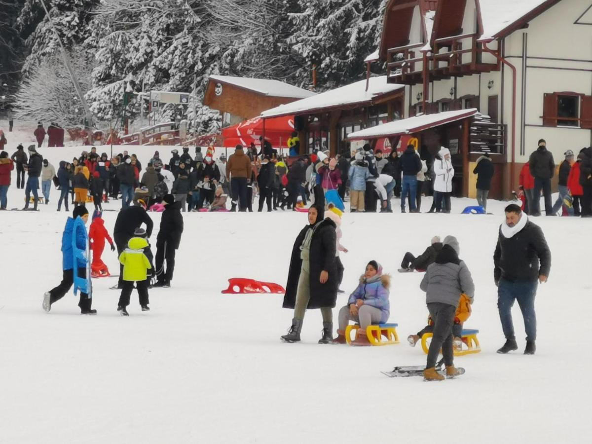 Challet Montan Poiana Brasov Eksteriør billede