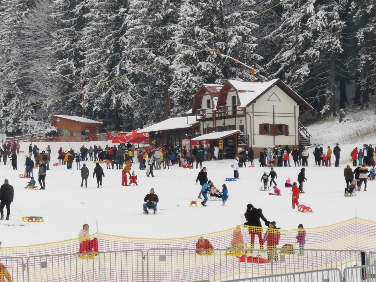 Challet Montan Poiana Brasov Eksteriør billede