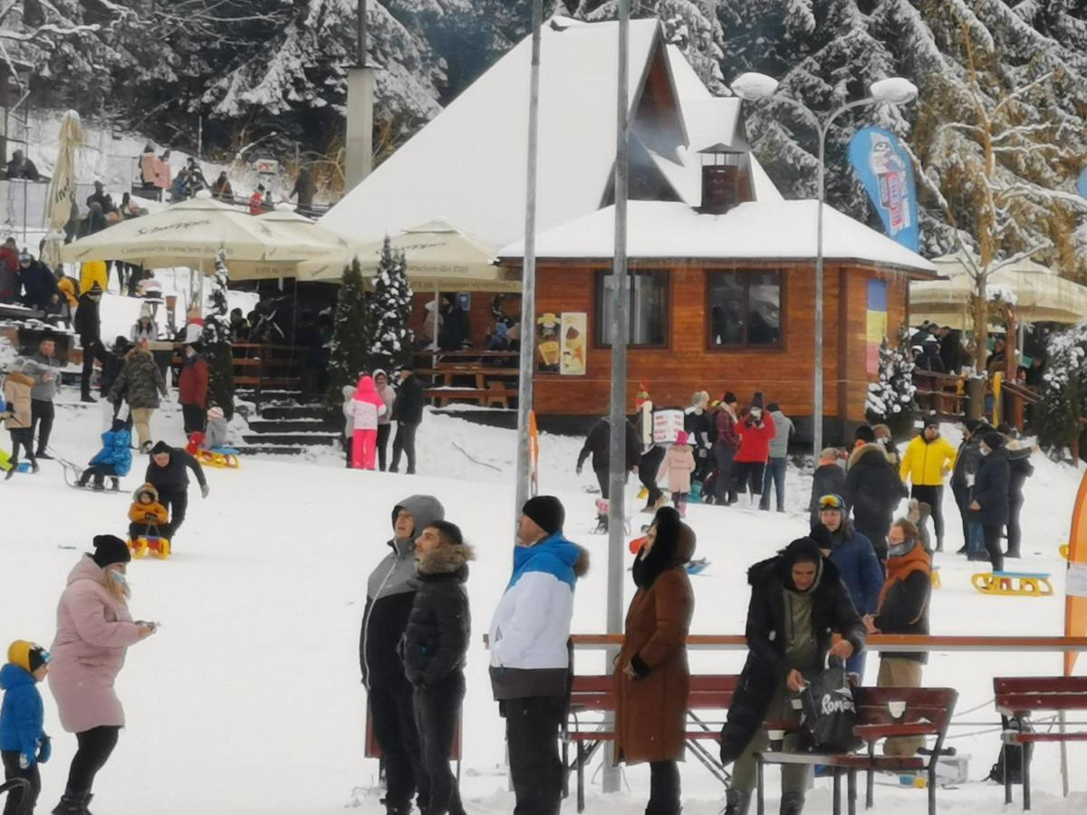 Challet Montan Poiana Brasov Eksteriør billede