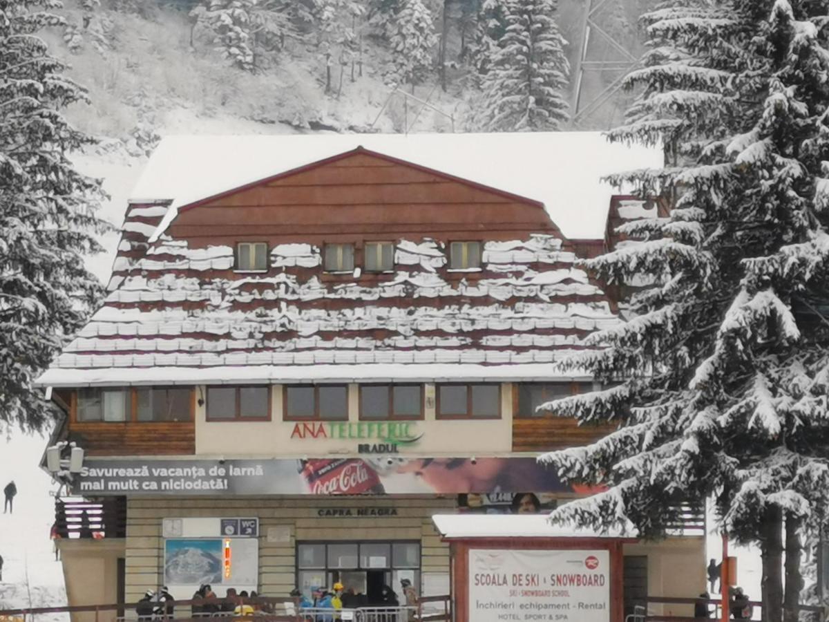 Challet Montan Poiana Brasov Eksteriør billede