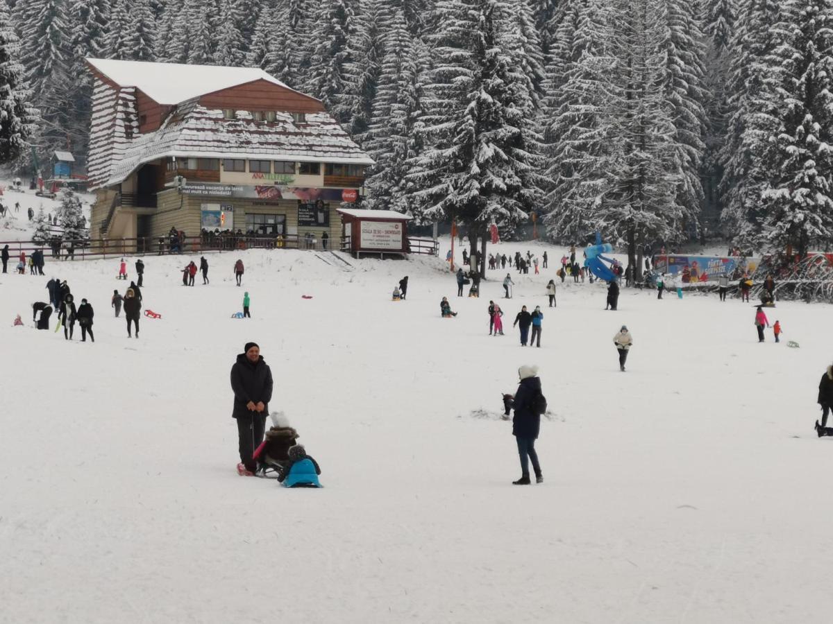 Challet Montan Poiana Brasov Eksteriør billede